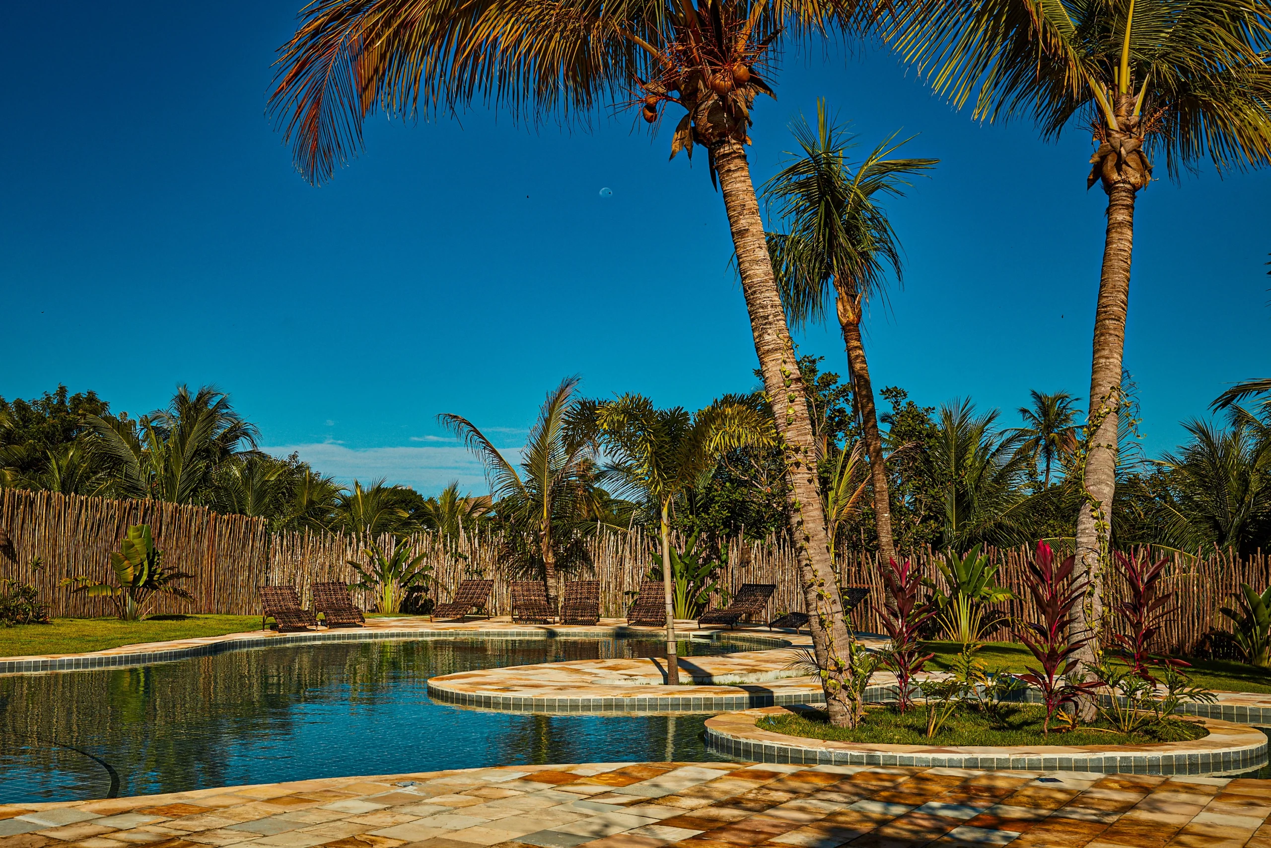 Conduru2_0010